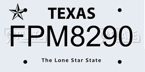 FPM8290 Texas License Plate