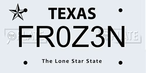 FR0Z3N Texas License Plate