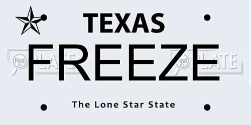 FREEZE Texas License Plate