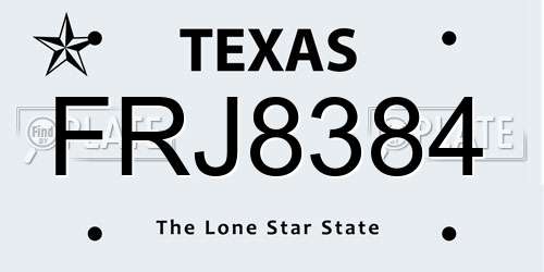 FRJ8384 Texas License Plate