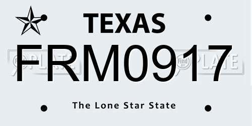 FRM0917 Texas License Plate