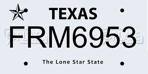 FRM6953 Texas License Plate