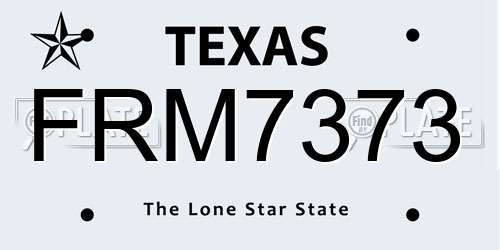 FRM7373 Texas License Plate