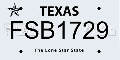FSB1729 Texas License Plate