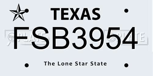 FSB3954 Texas License Plate