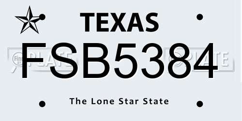 FSB5384 Texas License Plate