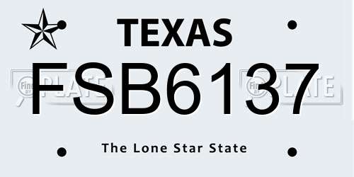 FSB6137 Texas License Plate
