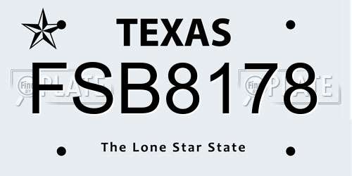 FSB8178 Texas License Plate