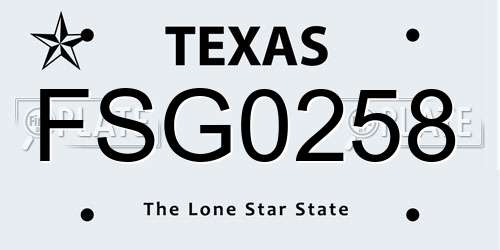 FSG0258 Texas License Plate