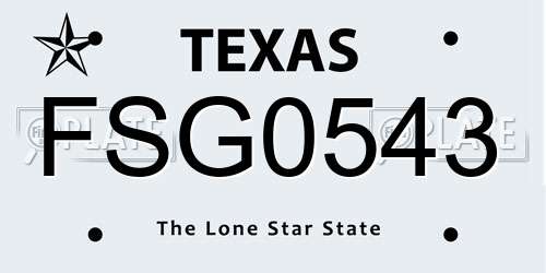 FSG0543 Texas License Plate