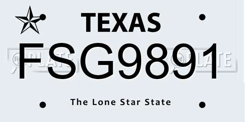 FSG9891 Texas License Plate
