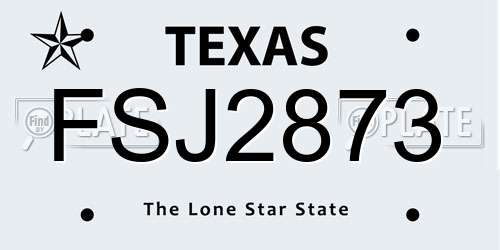 FSJ2873 Texas License Plate