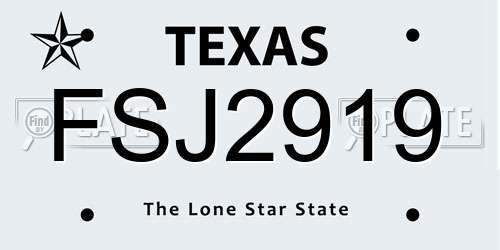 FSJ2919 Texas License Plate