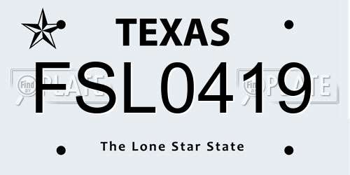 FSL0419 Texas License Plate