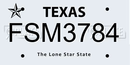 FSM3784 Texas License Plate