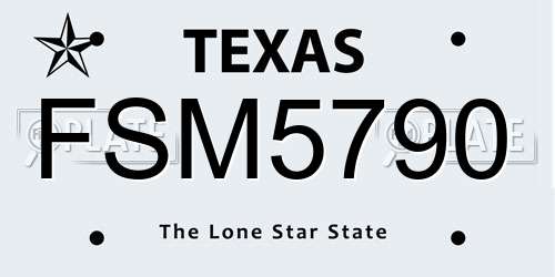 FSM5790 Texas License Plate