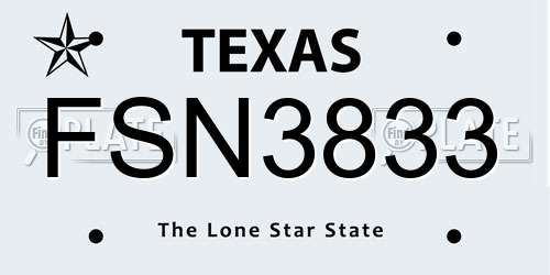 FSN3833 Texas License Plate