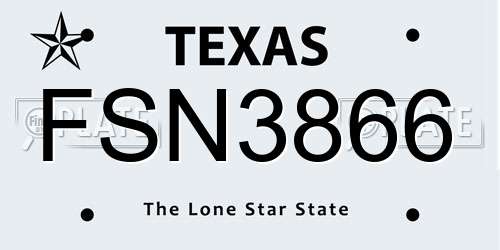 FSN3866 Texas License Plate