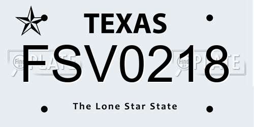 FSV0218 Texas License Plate