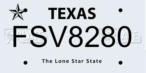 FSV8280 Texas License Plate