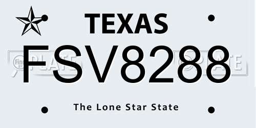 FSV8288 Texas License Plate