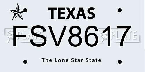 FSV8617 Texas License Plate