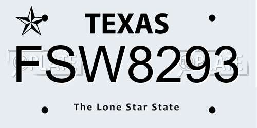 FSW8293 Texas License Plate