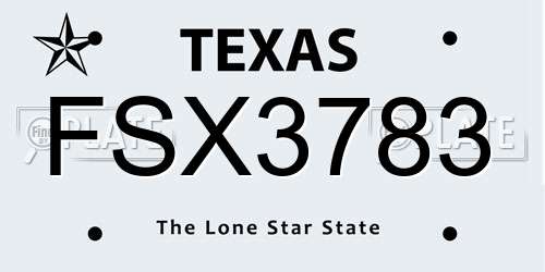 FSX3783 Texas License Plate
