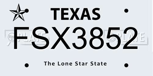 FSX3852 Texas License Plate
