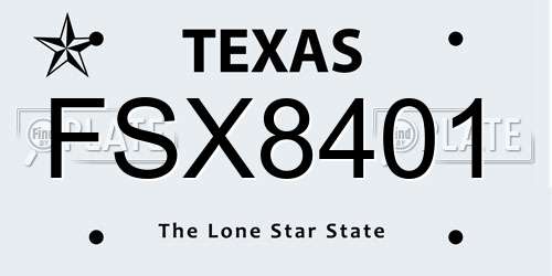 FSX8401 Texas License Plate