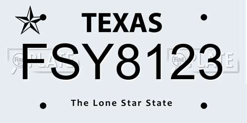 FSY8123 Texas License Plate