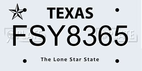 FSY8365 Texas License Plate