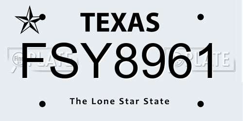 FSY8961 Texas License Plate