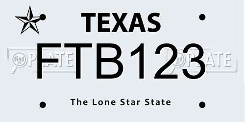 FTB123 Texas License Plate