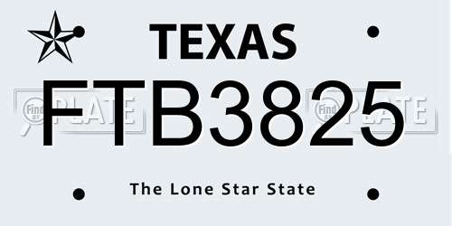 FTB3825 Texas License Plate