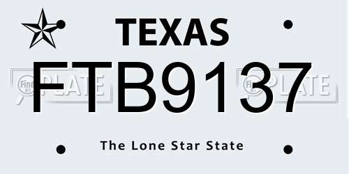 FTB9137 Texas License Plate