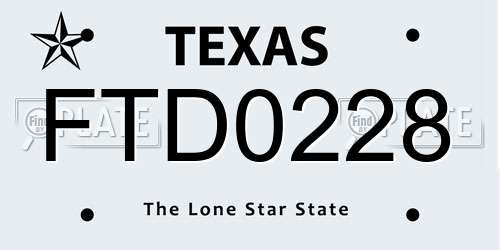 FTD0228 Texas License Plate