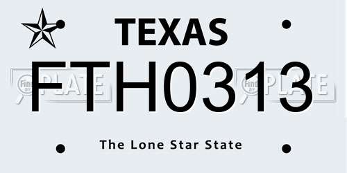 FTH0313 Texas License Plate
