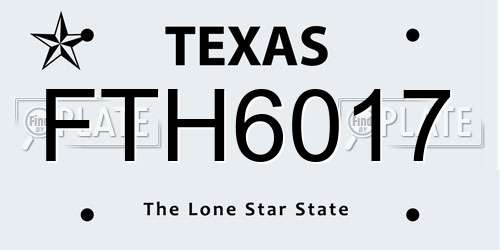 FTH6017 Texas License Plate
