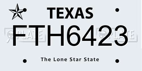 FTH6423 Texas License Plate