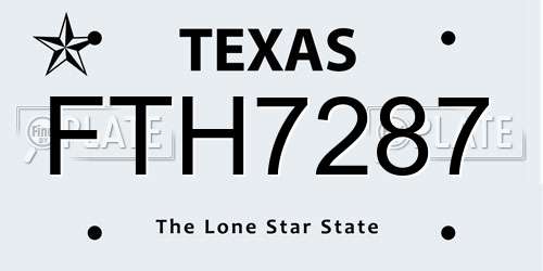 FTH7287 Texas License Plate
