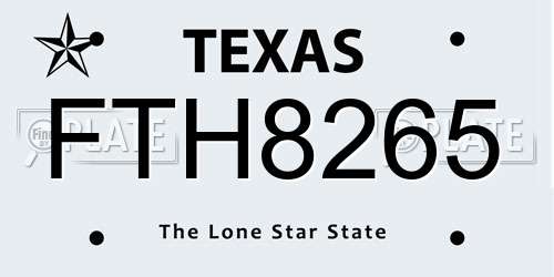 FTH8265 Texas License Plate