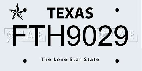 FTH9029 Texas License Plate