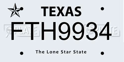 FTH9934 Texas License Plate
