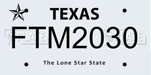FTM2030 Texas License Plate