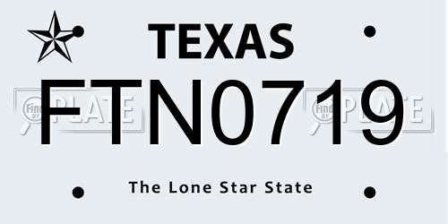 FTN0719 Texas License Plate