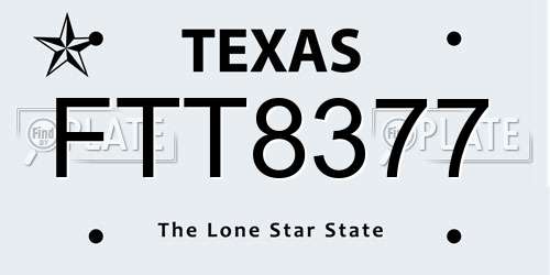 FTT8377 Texas License Plate