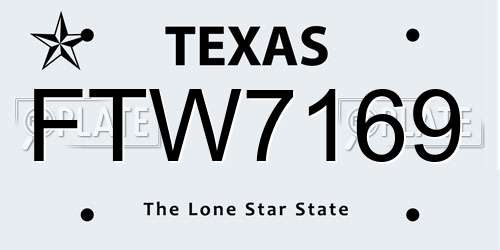 FTW7169 Texas License Plate