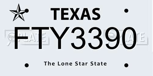 FTY3390 Texas License Plate