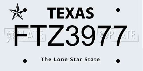 FTZ3977 Texas License Plate